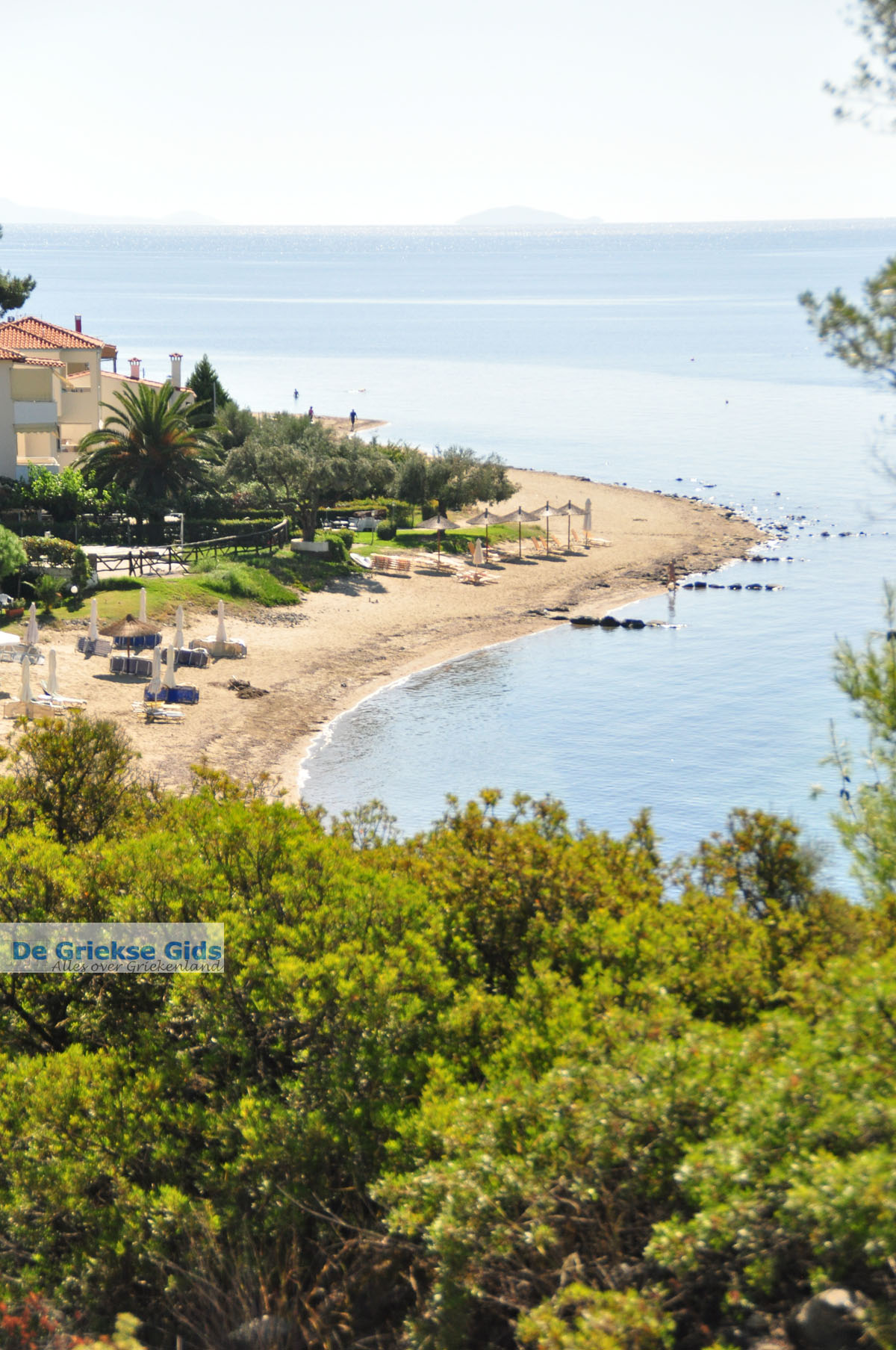 Psakoudia Halkidiki | Holidays in Psakoudia Greece