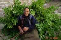 Dame in Mikro Papigo (Papingo) in Epirus