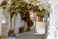 Typisch straatje Afionas