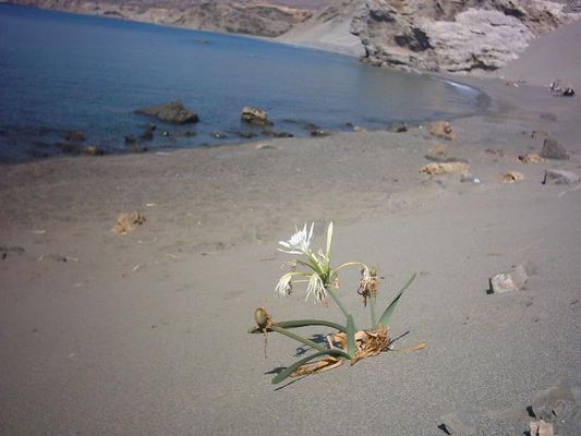 Agios Pavlos