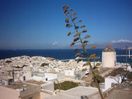 Mykonos Chora