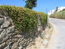 Flowerwall