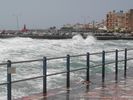 Wild see by Ier�petra