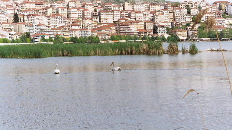 Kastoria5