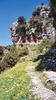 Vikos gorge 1