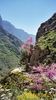 Vikos gorge 6