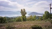 Kastoria2
