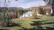 Kastoria2