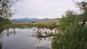 Kastoria4