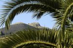 the beautiful nature of Zakynthos
