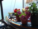 Boat with flowers