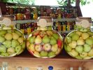 Fruit