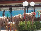 FRESH FISH