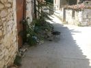 Limnos: potje koken in Atsiki