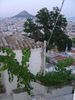 Athene (Anafiotika)