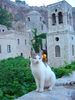 Monemvassia