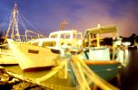 boats
