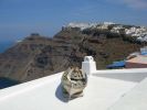 Oia