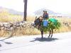 Lasithi Plateau - Kreta