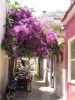 Taverna in Nafplion