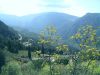 Gezicht op Delphi