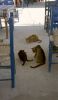Pilion_Agia Kyriaki_02