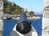 Island Hydra