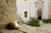 Zuid-Kreta - Moni Arkadi