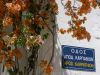 Pigadia, Bougainville siert gevel
