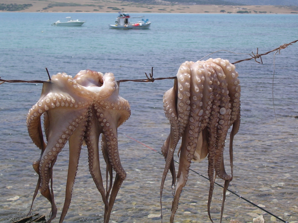 DSCN1345.JPG