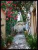 Binnentuin in Rhodos Oldtown
