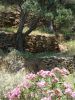 omgeving_batsi_op_andros.JPG