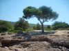 thassos