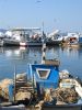 haven skala kalloni