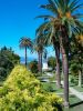 Tuin Achilleion