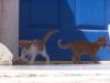 Naxos