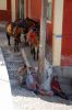 Ezelverhuur Santorini