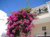 Karpathos Spoa