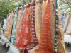 markt Xanthi